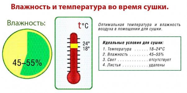 IMG_20230629_174108_428.jpg IMG_20230629_174108_428.jpg