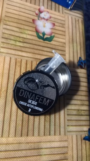 16881536171825016920118504792557.jpg 16881536171825016920118504792557.jpg