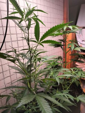 image-2023-07-03 23_06_48.jpg