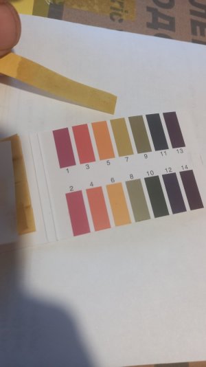 16885788721161687979310869943661.jpg 16885788721161687979310869943661.jpg