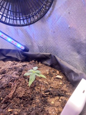 20230706_063016.jpg 20230706_063016.jpg