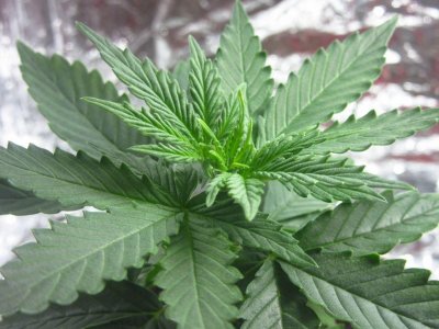 photo_2023-07-09_18-34-31 (3).jpg