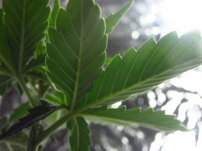 photo_2023-07-09_18-34-31 (4).jpg