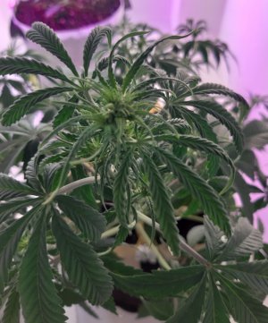 20230710_211718.jpg 20230710_211718.jpg