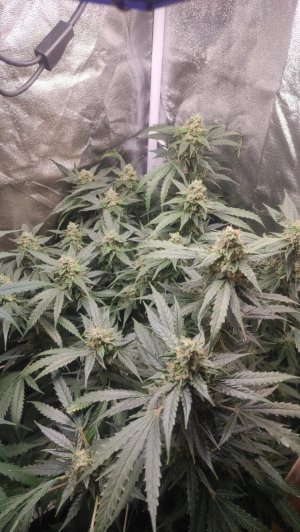 2023-07-10-23-50-17-393.jpg 2023-07-10-23-50-17-393.jpg