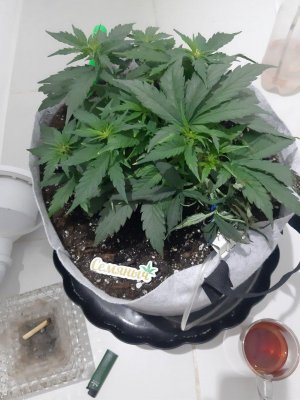 20230711_200612.jpg 20230711_200612.jpg