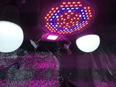 index3.jpg index3.jpg