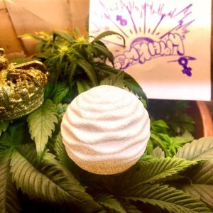 A6F7D99D-2FBE-4E1D-873F-41C1E3C5AE6C.jpeg A6F7D99D-2FBE-4E1D-873F-41C1E3C5AE6C.jpeg