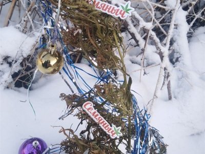 IMG_20211229_162206.jpg IMG_20211229_162206.jpg