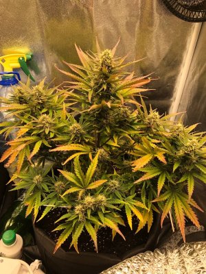 photo_2022-01-08_01-33-35 (2).jpg