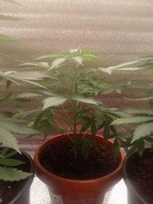 photo_2023-07-12_13-10-19 (3).jpg