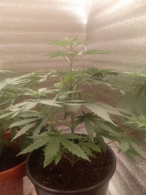 photo_2023-07-12_13-10-19 (4).jpg