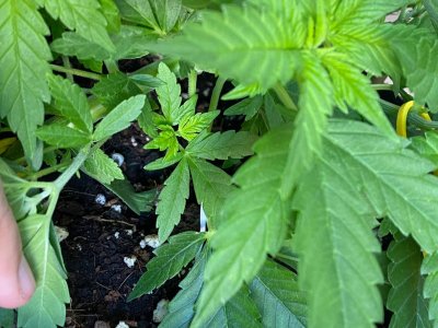 photo_2023-07-14_12-10-35.jpg photo_2023-07-14_12-10-35.jpg