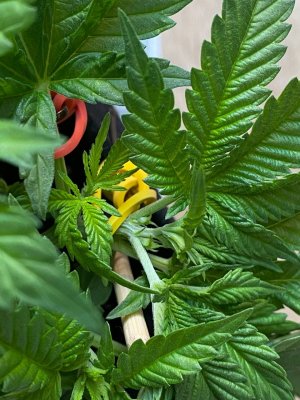 photo_2023-07-14_12-10-34.jpg photo_2023-07-14_12-10-34.jpg