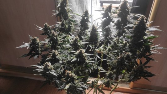 2023-07-16-12-30-55-615.jpg 2023-07-16-12-30-55-615.jpg