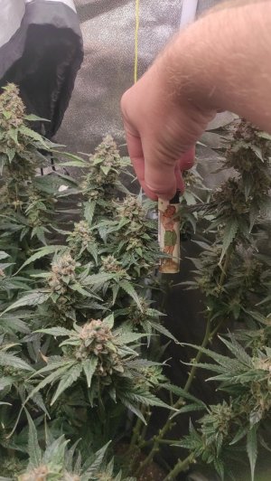 2023-07-17-09-28-38-294.jpg 2023-07-17-09-28-38-294.jpg