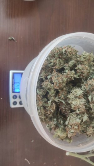 2023-07-21-07-42-51-068.jpg 2023-07-21-07-42-51-068.jpg