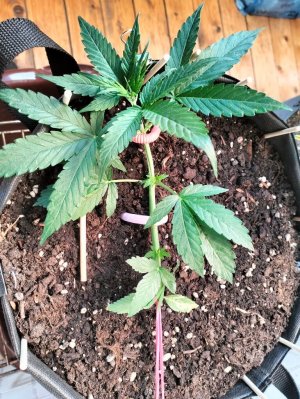 image-2023-07-22 14_30_32.jpg