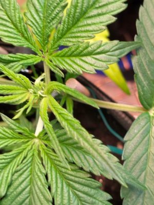 image-2023-07-25 10_31_40.jpg