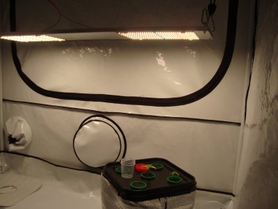 DSC00466.JPG DSC00466.JPG