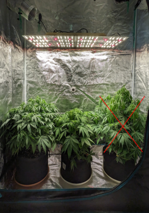 1691059744453.png 1691059744453.png