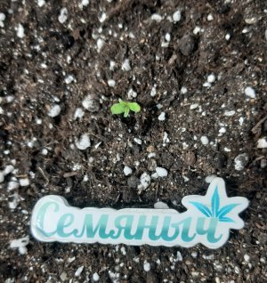 20230803_200700.jpg 20230803_200700.jpg