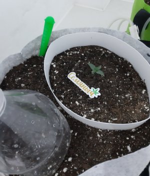 20230803_201812.jpg 20230803_201812.jpg