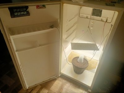 IMG20230804232852.jpg IMG20230804232852.jpg