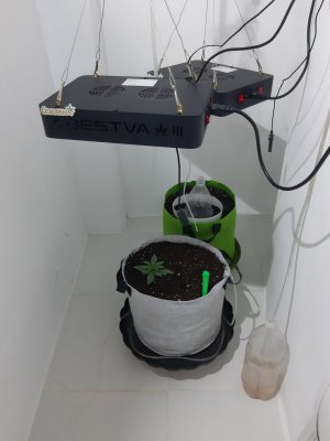 20230805_112742.jpg 20230805_112742.jpg