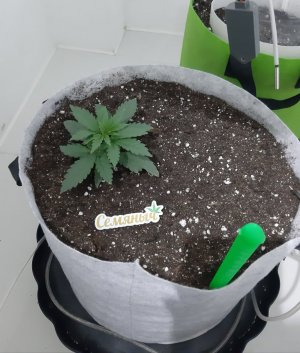 20230806_112133.jpg 20230806_112133.jpg