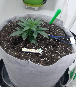 20230807_183605.jpg 20230807_183605.jpg