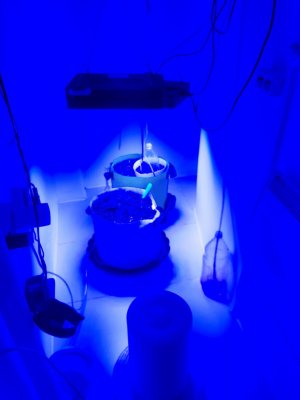 20230807_183719.jpg 20230807_183719.jpg