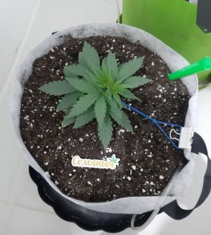 20230807_184131.jpg 20230807_184131.jpg