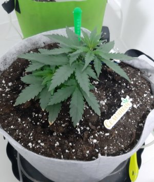 20230808_191112.jpg 20230808_191112.jpg