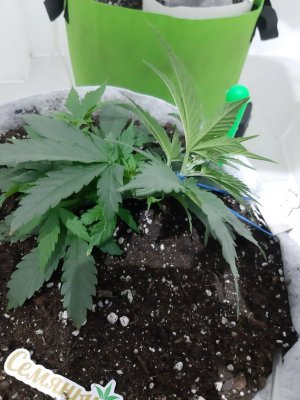 20230808_192247.jpg 20230808_192247.jpg