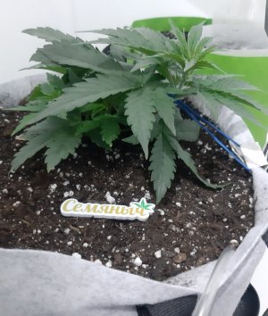 20230808_193133.jpg 20230808_193133.jpg