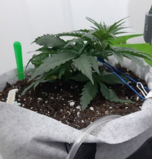 20230809_172015.jpg 20230809_172015.jpg