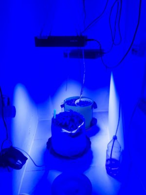 20230809_172244.jpg 20230809_172244.jpg