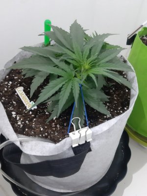 20230809_174223.jpg 20230809_174223.jpg