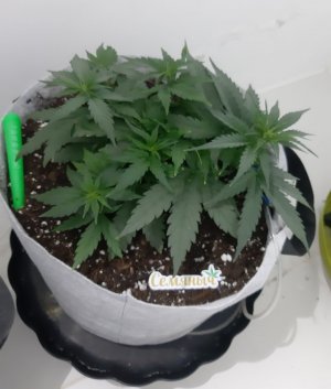 20230810_184220.jpg 20230810_184220.jpg