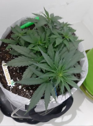 20230810_184700.jpg 20230810_184700.jpg