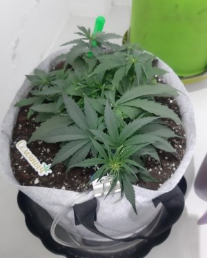 20230810_190102.jpg 20230810_190102.jpg