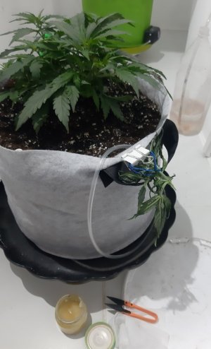 20230810_192112.jpg 20230810_192112.jpg