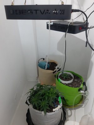 20230811_204444.jpg 20230811_204444.jpg