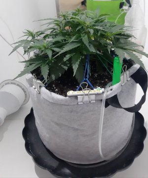 20230811_205502.jpg 20230811_205502.jpg