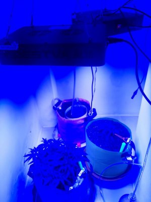 20230812_105014.jpg 20230812_105014.jpg