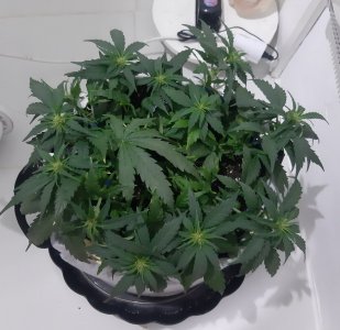 20230812_112403.jpg 20230812_112403.jpg