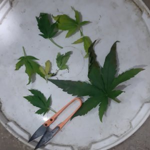 20230812_112341.jpg 20230812_112341.jpg