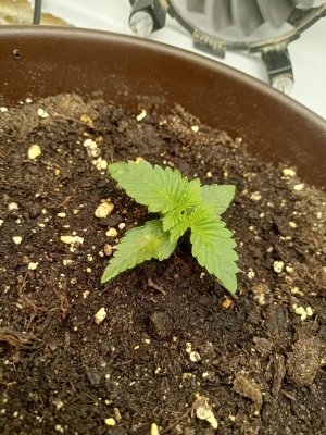 16919261173875150539921067287343.jpg 16919261173875150539921067287343.jpg