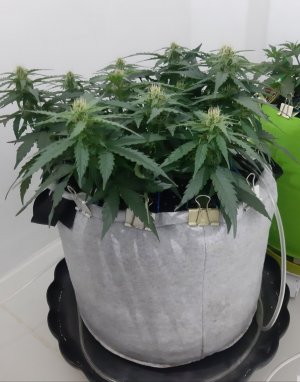 20230813_145052.jpg 20230813_145052.jpg